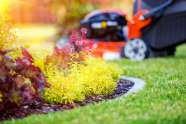 Lawn Care Tips Envy Lawn New